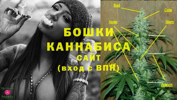 мяу мяу кристалл Гусь-Хрустальный