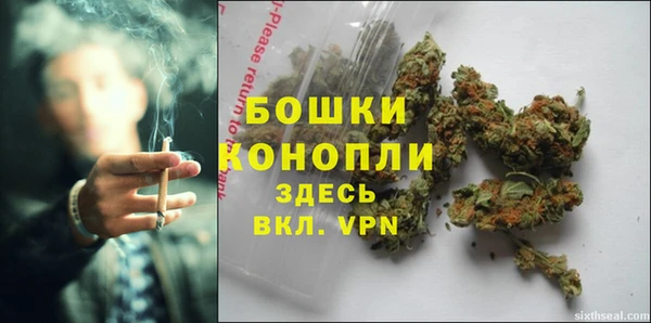 мяу мяу кристалл Гусь-Хрустальный