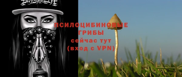 прущие грибы Нестеровская
