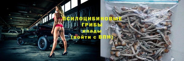 соль ск Гусиноозёрск