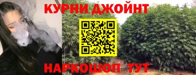 скорость Заводоуковск