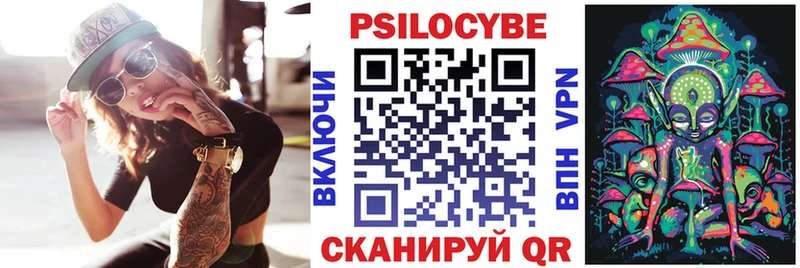 где купить   Десногорск  Галлюциногенные грибы MAGIC MUSHROOMS 