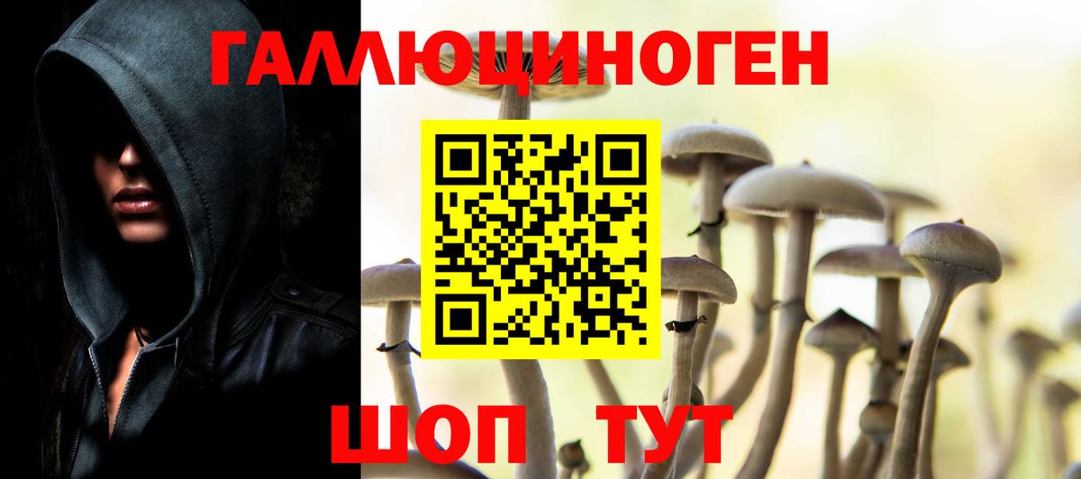 Галлюциногенные грибы мицелий  Псилоцибиновые грибы Psilocybe  купить   Десногорск 